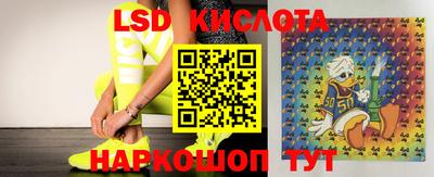 тгк Бийск