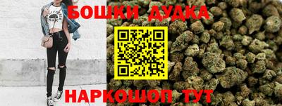 тгк Бийск