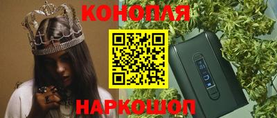 тгк Бийск