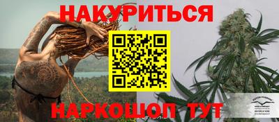 тгк Бийск