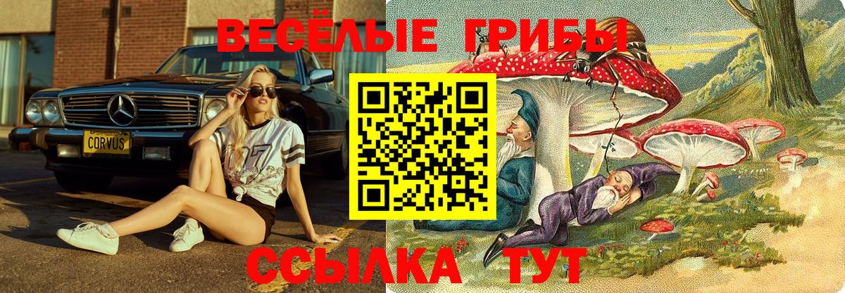 Псилоцибиновые грибы GOLDEN TEACHER  Псилоцибиновые грибы Cubensis  Вход с VPN  Асбест 