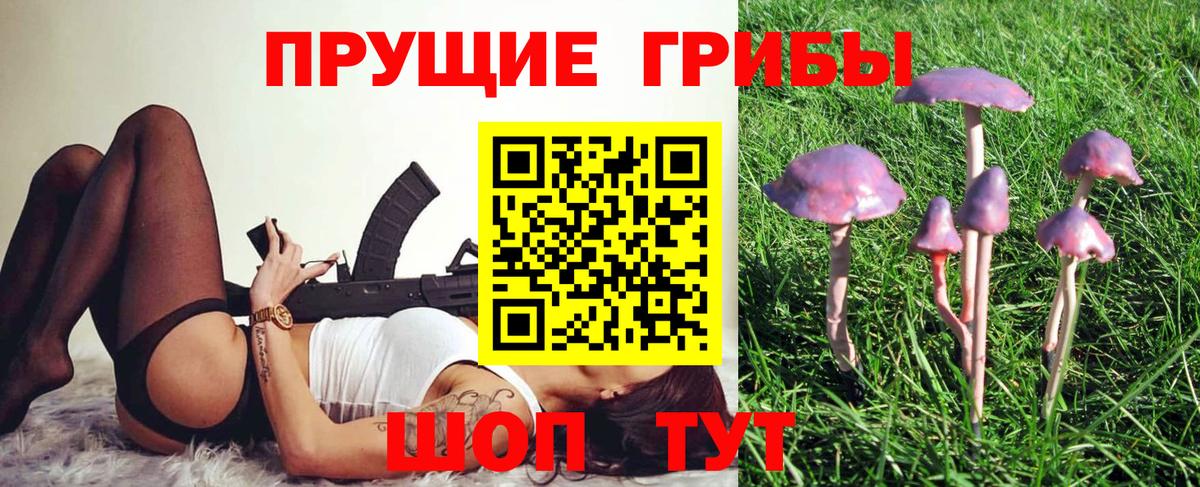 Псилоцибиновые грибы Psilocybe Асбест